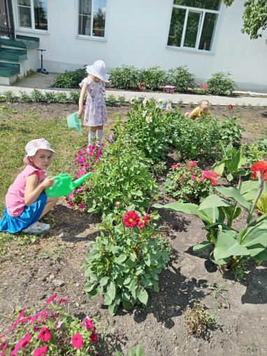 Ухаживаем за цветами Ухаживаем за цветами.